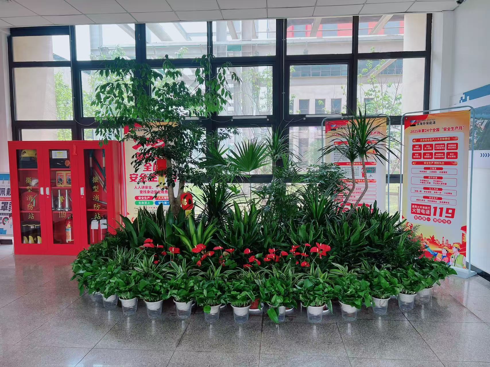 北仑花木租赁服务优，满足你对绿植的所有期待！