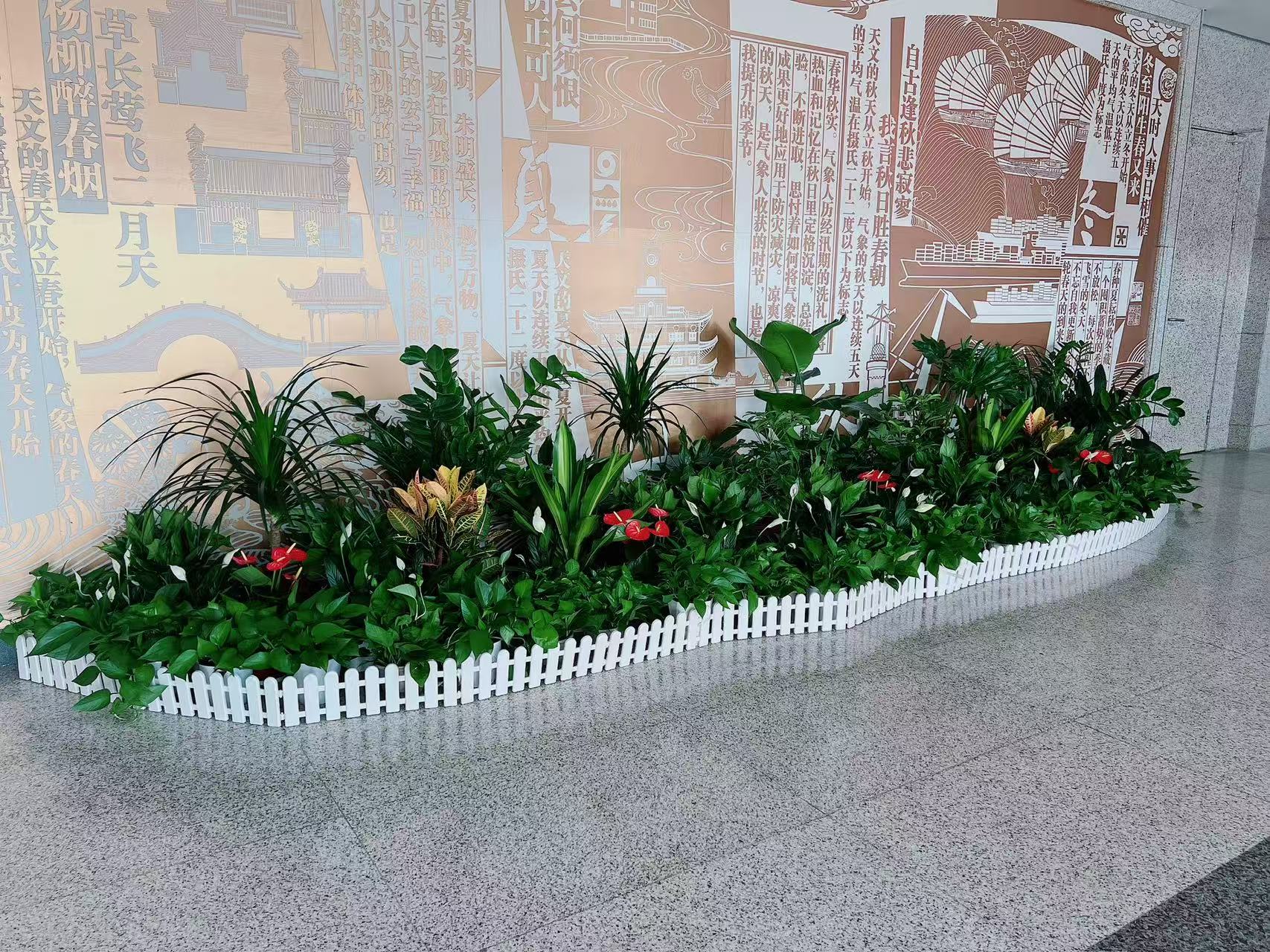 探秘北仑盆景租赁公司，解锁绿植租赁新体验